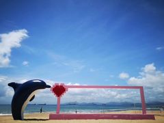 -西涌国际滨海旅游区