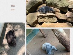 -费瑟代尔野生动物园