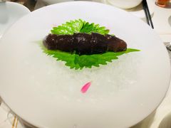 -觀芷隐轩