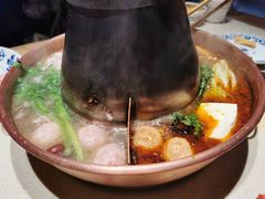 -东镇老火锅(长春路首店)