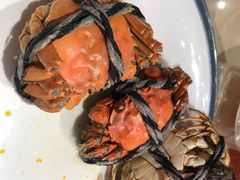 -杨氏青龙虾·羊蝎子(珠江路店)