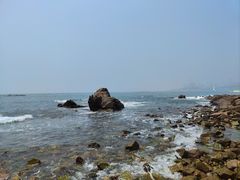 -小麦岛公园