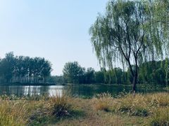 -东郊湿地公园