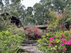 -深圳国际园林花卉博览园