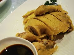 白切绍兴墩鸡-绍兴饭店(大宁店)