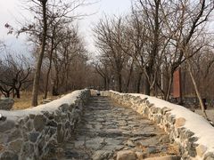 -阳台山自然风景区