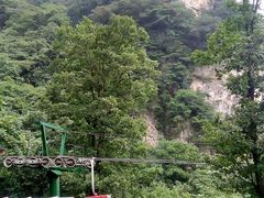 -王顺山国家森林公园