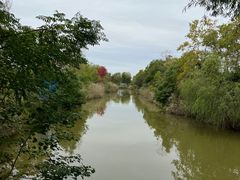 -泗洪洪泽湖湿地景区