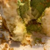 星巴克夏季限定仙人掌豆乳蛋糕