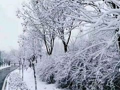 -观唐（国际）度假村温泉