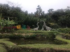-呀诺达热带雨林