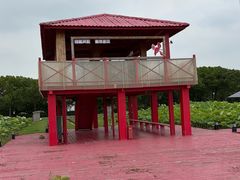 -嘉北郊野公园