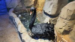 -酷嗒动物文化乐园(cutezoo西溪乐天城店)