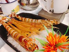 -鲜入围煮花胶鸡海鲜火锅