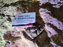 -北京周口店北京人遗址博物馆