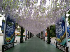 -厦门方特梦幻王国