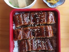 鳗鱼饭-水之惠鲜鱼料理(王府大街店)