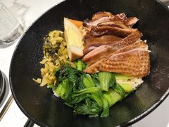 -MR鹅外