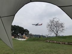 -空港花田景区