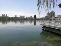 -迎泽公园