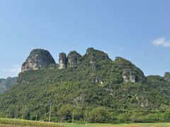 -明仕田园