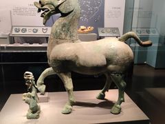 -广西壮族自治区博物馆