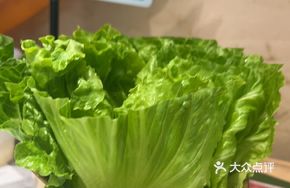 Prosperity Lettuce