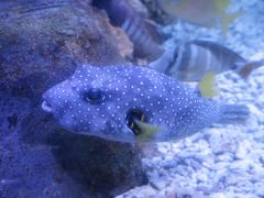 -多彩贵州城极地海洋世界