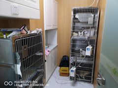 -可蒙动物医院·猫科·骨科中心(首义路店)