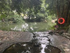 -成都市活水公园
