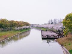 -上海海湾国家森林公园