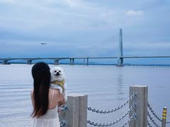 -芒洲湿地公园