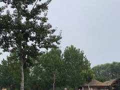 -秦皇岛野生动物园