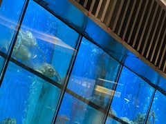 -珍宝海鲜JUMBO Seafood(尚嘉店)