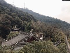 -韬光茶庵