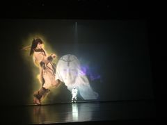 -合肥大剧院