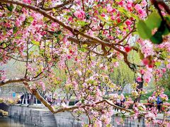 -元大都城垣遗址公园