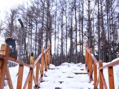 -长春净月潭风景名胜区