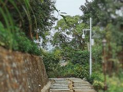 -阳台山森林公园