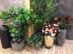 -唐沫茶兮(仓山万达金街店)