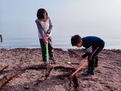 -巢湖姥山岛