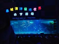 -泉城欧乐堡海洋极地世界