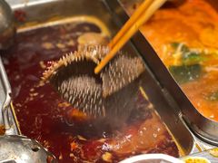 -海底捞火锅(正大乐城店)