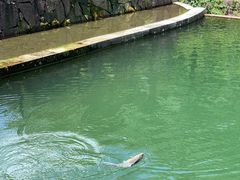 -宁波五龙潭景区