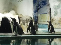 -北戴河圣蓝海洋公园