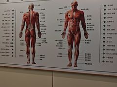 -通透堂中医·精准推拿(万科云城分院)