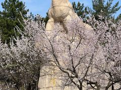 -帽儿山国家森林公园