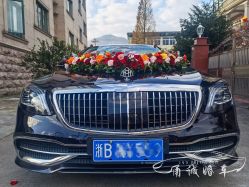 -宁波甬诚婚车(新典路店)