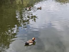 -呀诺达热带雨林