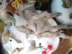 -尚海豆捞(乐虹坊店)